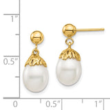 14K 7-8mm White Rice Freshwater Cultured Pearl Post Dangle Earrings XF693E
