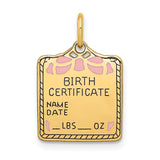 14k Enameled Pink Engravable BIRTH CERTIFICATE Charm A0363/P