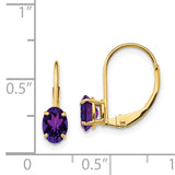 14k 6x4mm Oval Amethyst Leverback Earrings XLB114AM