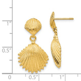 14K Scallop Shell Dangle Post Earrings K4456