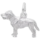Silver Pendant/Charm