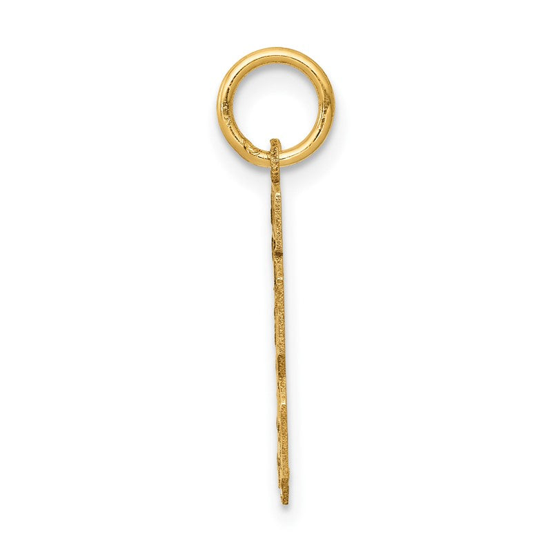 14k Small Satin Number 13 Charm LSS13