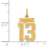14k Small Satin Number 13 Charm LSS13