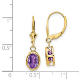 14k 8x6mm Oval Amethyst Bezel Leverback Dangle Earrings XLB107AM