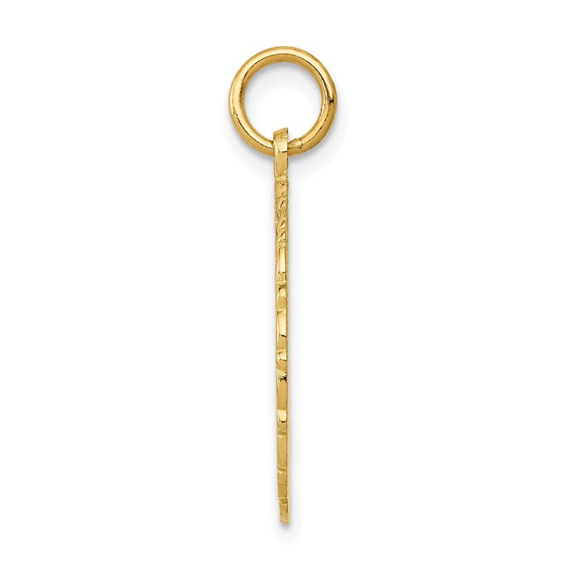 14k RN Registered Nurse Textured Back Disc Charm C1786