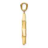 14k Two-tone Star of David and Torah Pendant C4531