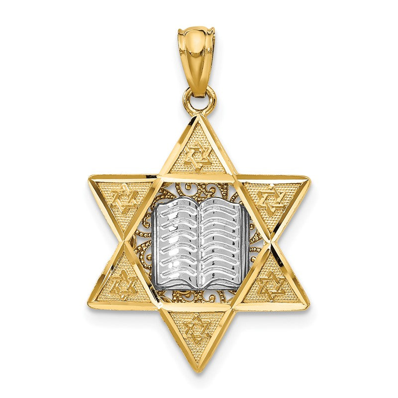 14k Two-tone Star of David and Torah Pendant C4531