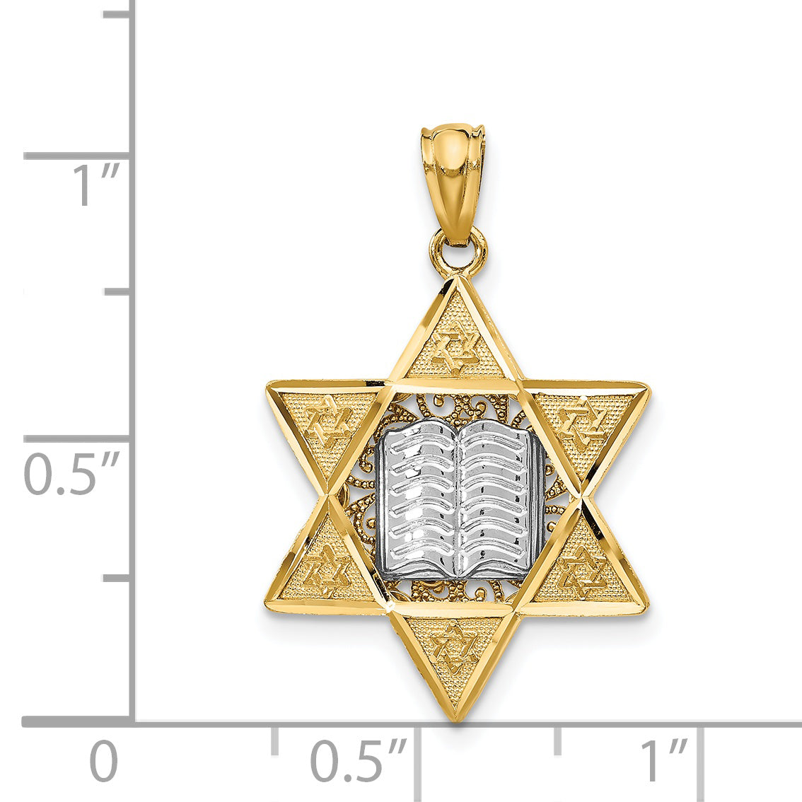 14k Two-tone Star of David and Torah Pendant C4531