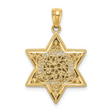 14k Two-tone Star of David and Torah Pendant C4531