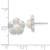 14k White Gold 5-6mm White Button Freshwater Cultured Pearl Flower Post Earrings XF651E