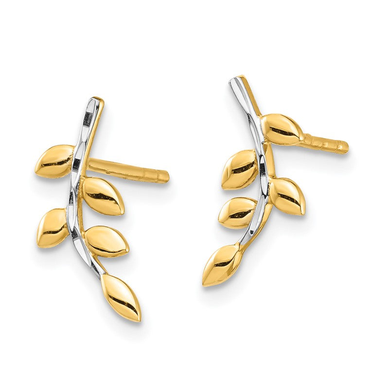 14K and White Rhodium Leaves Post Earrings TF1549