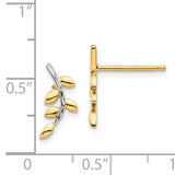 14K and White Rhodium Leaves Post Earrings TF1549