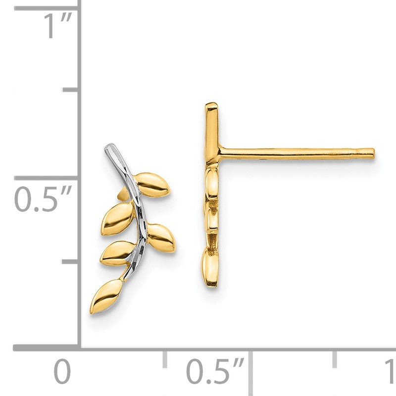 14K and White Rhodium Leaves Post Earrings TF1549