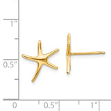 14k Starfish Post Earrings TE624