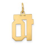 14k Small Satin Number 10 Charm LSS10