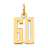 14k Small Elongated Number 60 Charm LES60