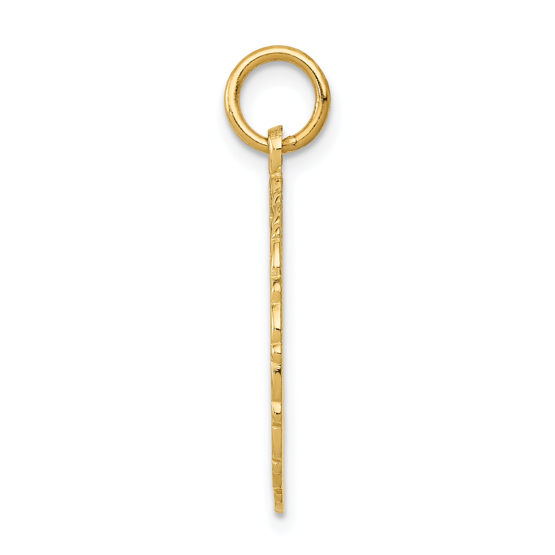 14k RN Registered Nurse Textured Back Disc Charm C1786