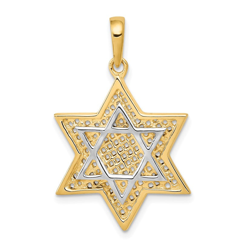 14K and White Rhodium Solid Mesh Star Of David Charm D895