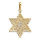 14K and White Rhodium Solid Mesh Star Of David Charm D895
