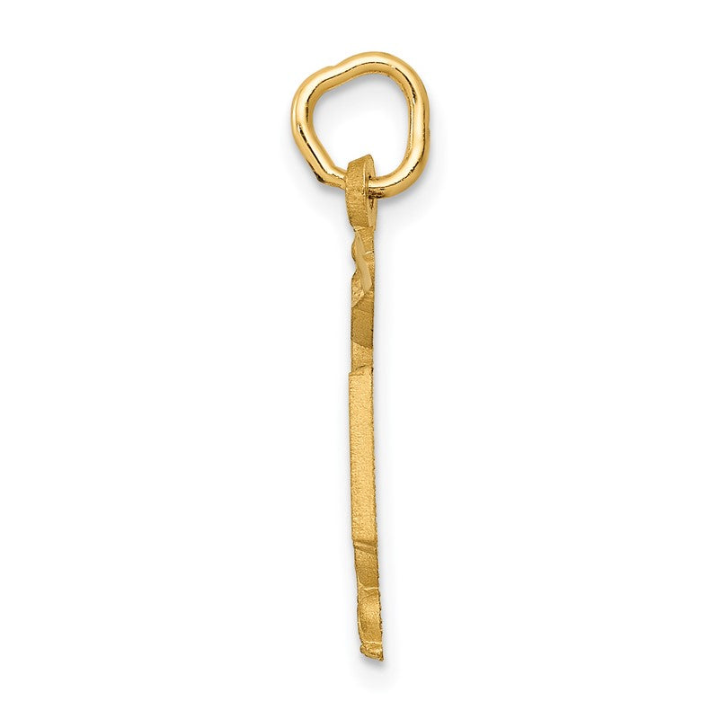14k RN Registered Nurse Charm C432