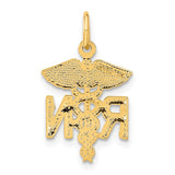 14k RN Registered Nurse Charm C432