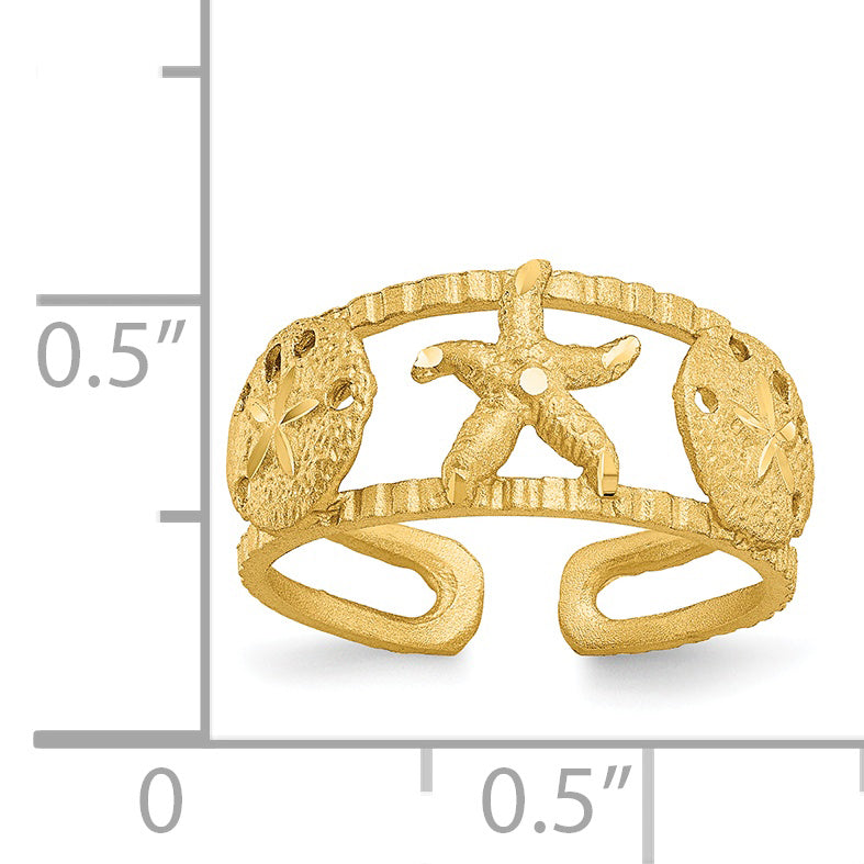 14k Starfish and Shells Toe Ring C2082