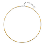 14k Two-tone 2mm Reversible White and Yellow 18 inch Omega Necklace Plus 2 inch Heart Chain Extender ROML2