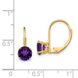 14k 6mm Round Amethyst Leverback Earrings XLB112AM