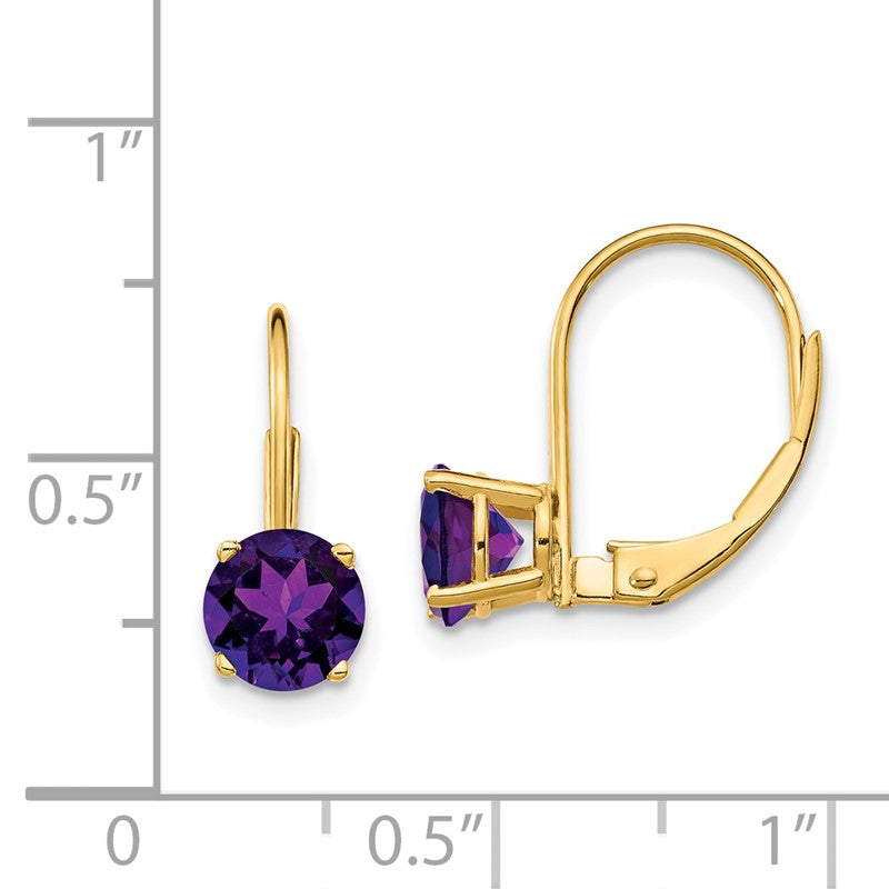 14k 6mm Round Amethyst Leverback Earrings XLB112AM
