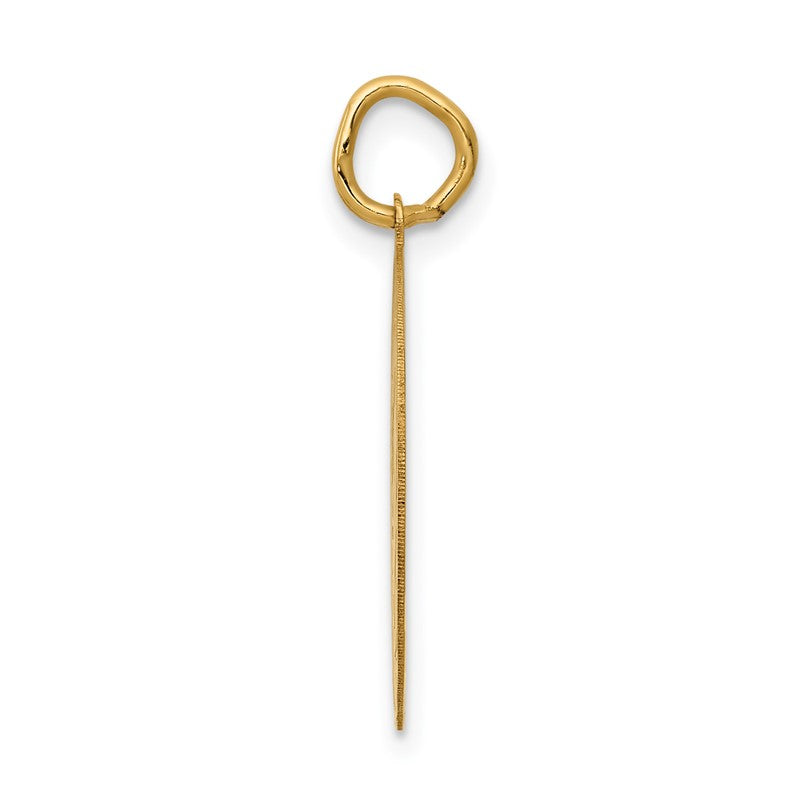 14k GRADUATION DAY Engravable Disc Charm A1076