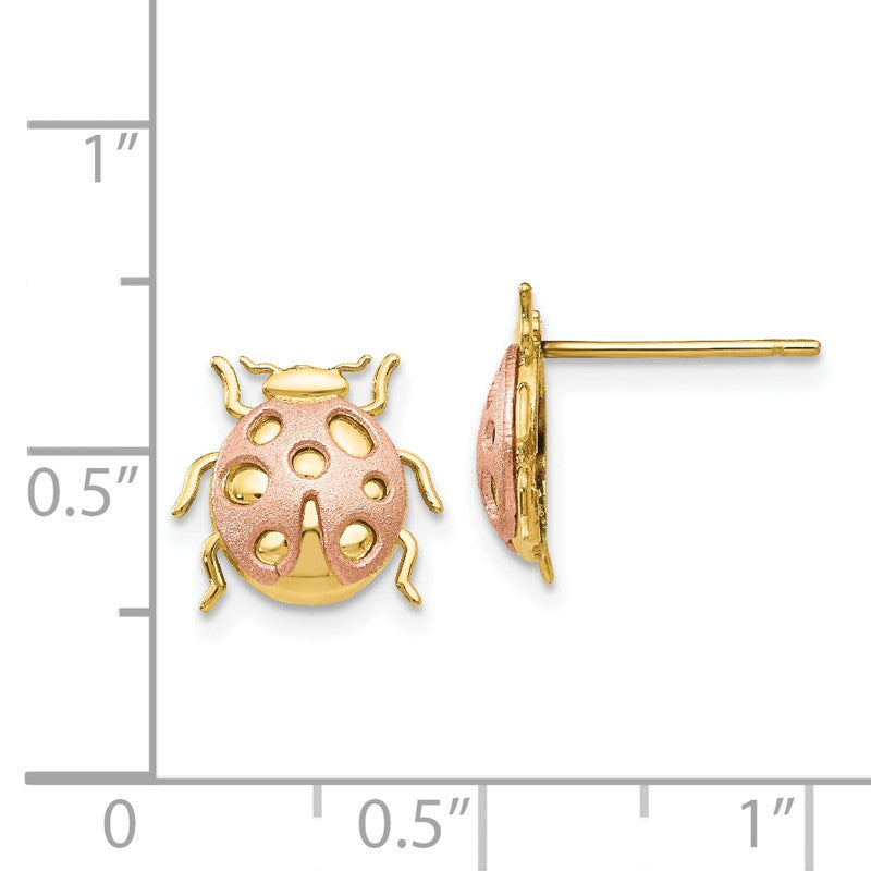14k Two-Tone Satin and Polished Ladybug Post Earrings H1108