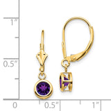 14k 5mm Round Amethyst Bezel Leverback Dangle Earrings XLB100AM