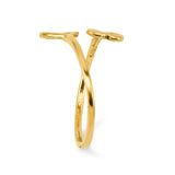 14k Double Heart Toe Ring K2032