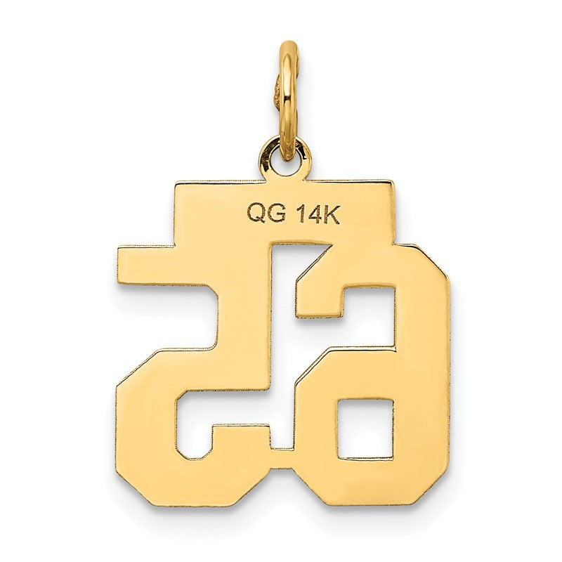 14k Small Satin Number 65 Charm LSS65