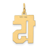 14k Small Polished Number 15 Charm LS15