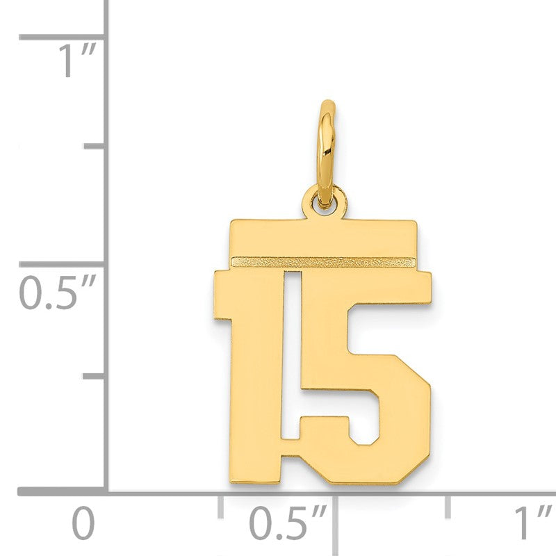 14k Small Polished Number 15 Charm LS15