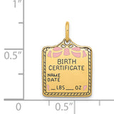 14k Enameled Pink Engravable BIRTH CERTIFICATE Charm A0363/P