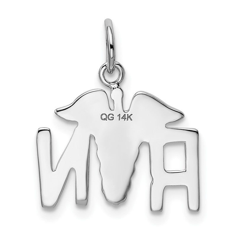 14k White Gold RN Registered Nurse Charm K913