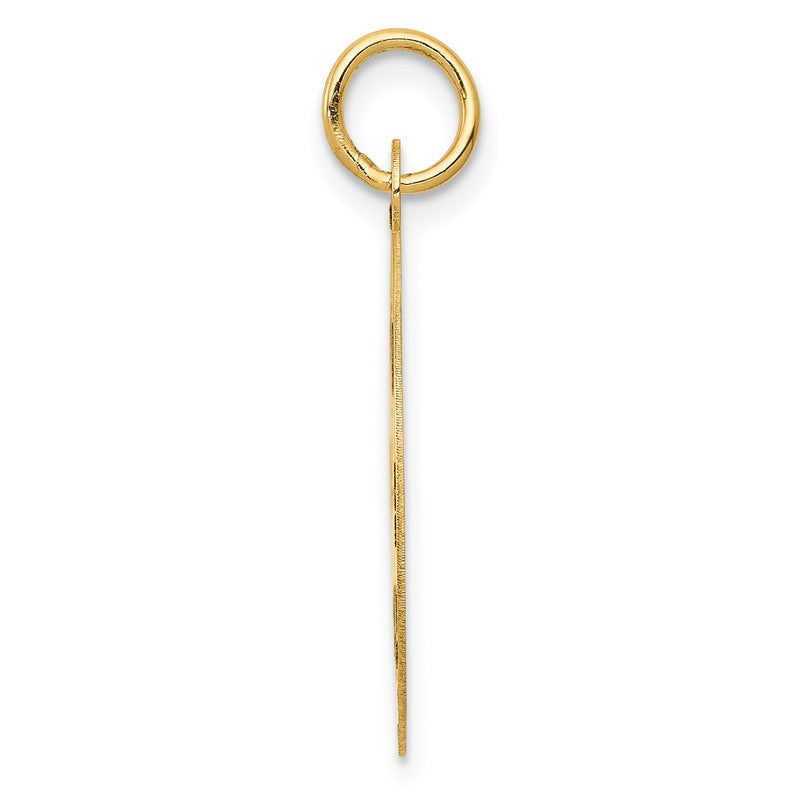 14k Medium PARAMEDIC Medical Pendant YC516