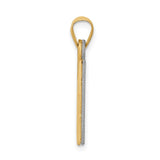 14k Two-Tone Solid Satin Chai Charm XK674