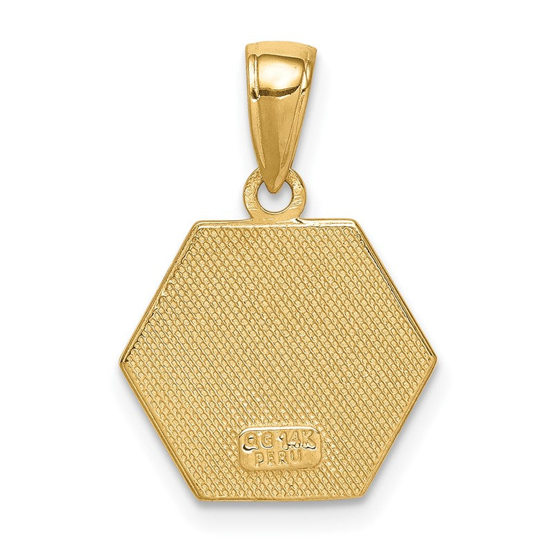 14k 14mm Hexagon Enameled Textured Back Medical Disc Pendant XM522