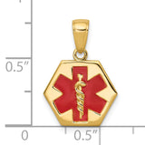 14k 14mm Hexagon Enameled Textured Back Medical Disc Pendant XM522
