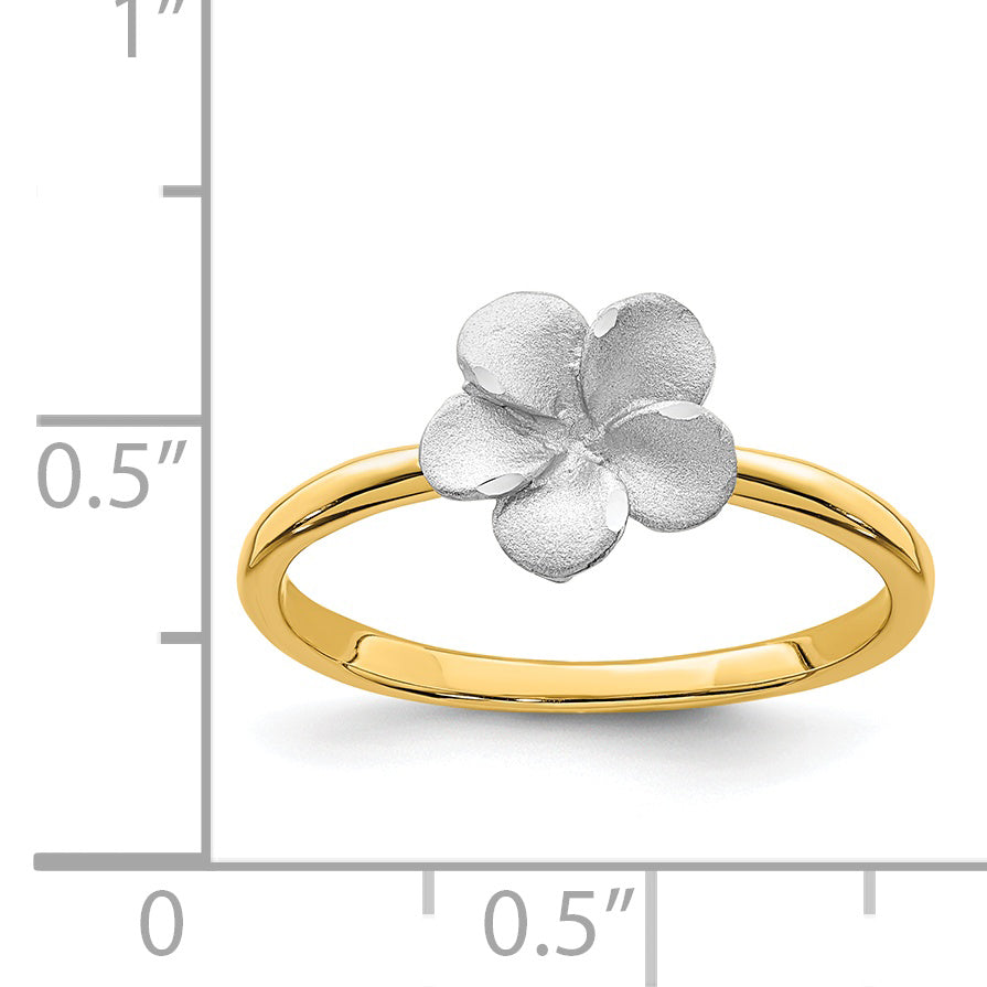 14K Two-tone Brushed and Polished Plumeria Ring D4740