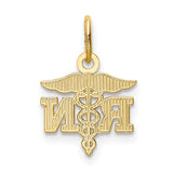 14k Diamond-cut Polished RN Registered Nurse Pendant K6117