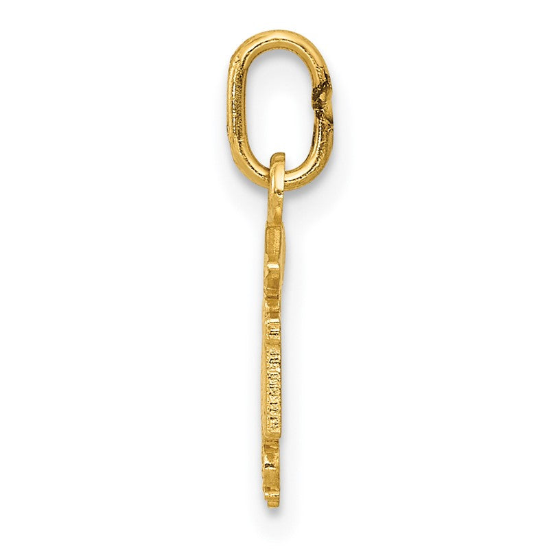 14k Diamond-cut Polished RN Registered Nurse Pendant K6117