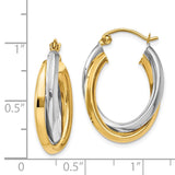 14k Two-tone Polished Double Oval Hoop Earrings TM398