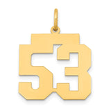 14k Medium Polished Number 53 Charm LM53