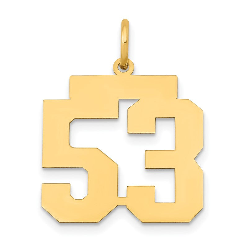 14k Medium Polished Number 53 Charm LM53