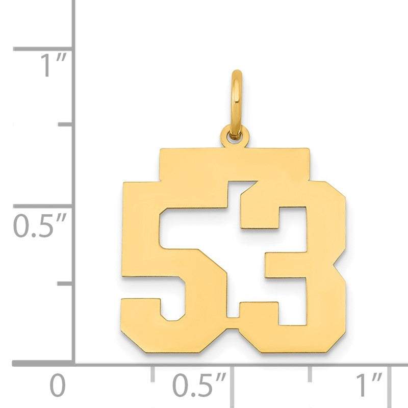 14k Medium Polished Number 53 Charm LM53