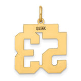 14k Medium Polished Number 53 Charm LM53